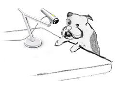 The Weight of Elegance_ Unpacking the 1.5cm Quartzite Square Meter Mystery-Kangyi artificial marble