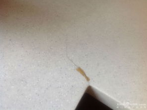 How to repair artificial marble cracks-Kangyi artificial marble