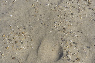 The Art of Choosing the Right Artificial Stone for Your Home_ Value, Aesthetics, and Durability-Kangyi artificial marble