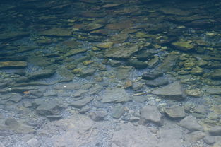 The Great Stone Debate_ Man-Made Marvels vs. Mother Natures Masterpieces-Kangyi artificial marble