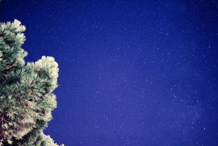 人工石代表什么，人工石代表什么生肖-Kangyi artificial marble